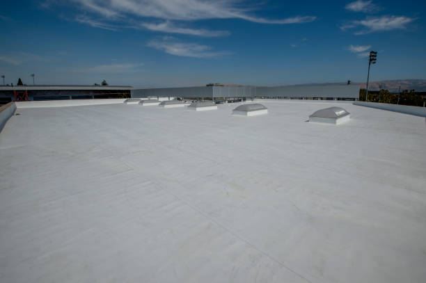 Best Roof Leak Repair  in Wise, VA