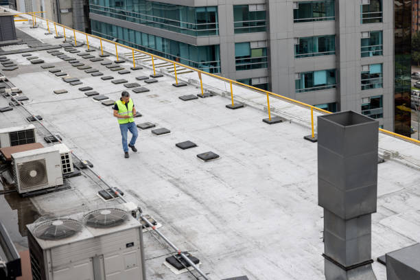 Best Roof Maintenance and Cleaning  in Wise, VA
