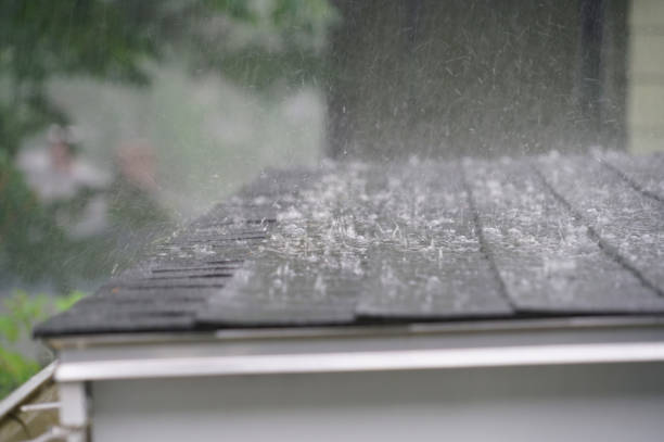 Best Storm Damage Roof Repair  in Wise, VA