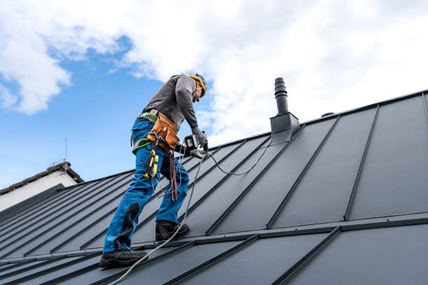 Best Sheet Metal Roofing  in Wise, VA