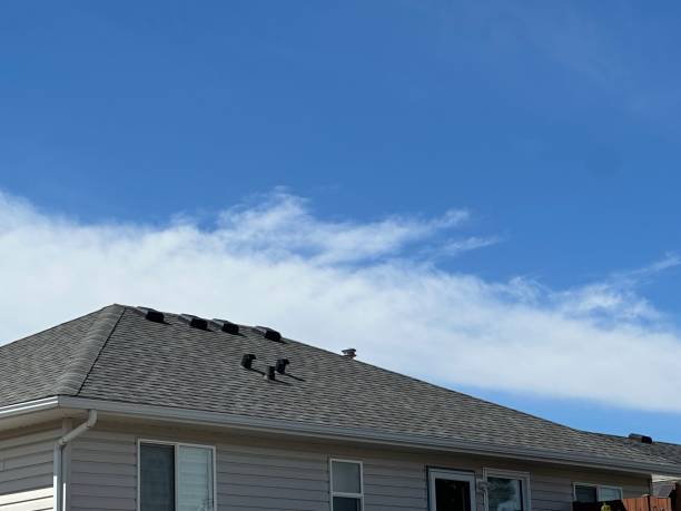 Best Emergency Roof Repair  in Wise, VA